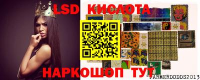 крисы Новозыбков