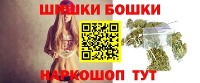 крисы Новозыбков