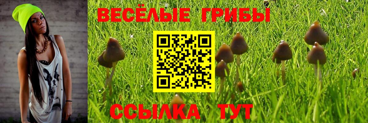 Галлюциногенные грибы Psilocybine cubensis  Галлюциногенные грибы Magic Shrooms  Вход с VPN  Тихорецк 
